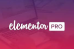 Elementor Pro Plugin - Image 2