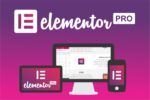 Elementor Pro Plugin